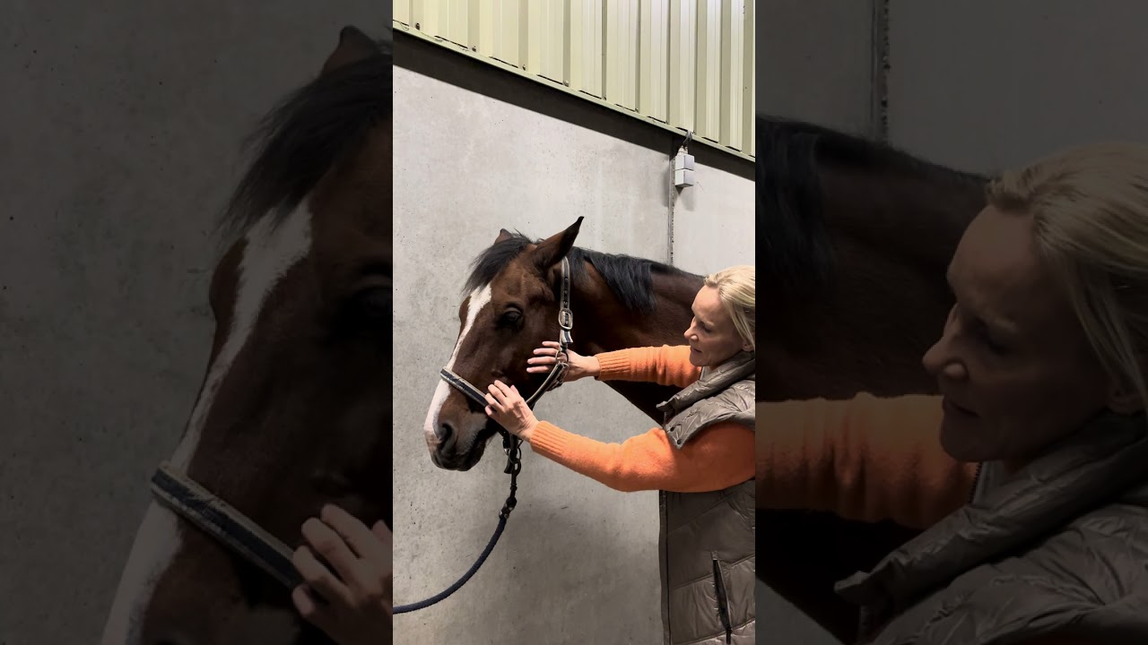 Losmaken van de rug en het sacrum