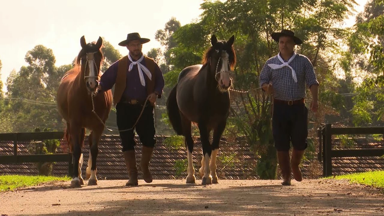 N&uacute;cleo de Criadores de Cavalos Crioulos da Costa Doce &ndash; Gua&iacute;ba - RS