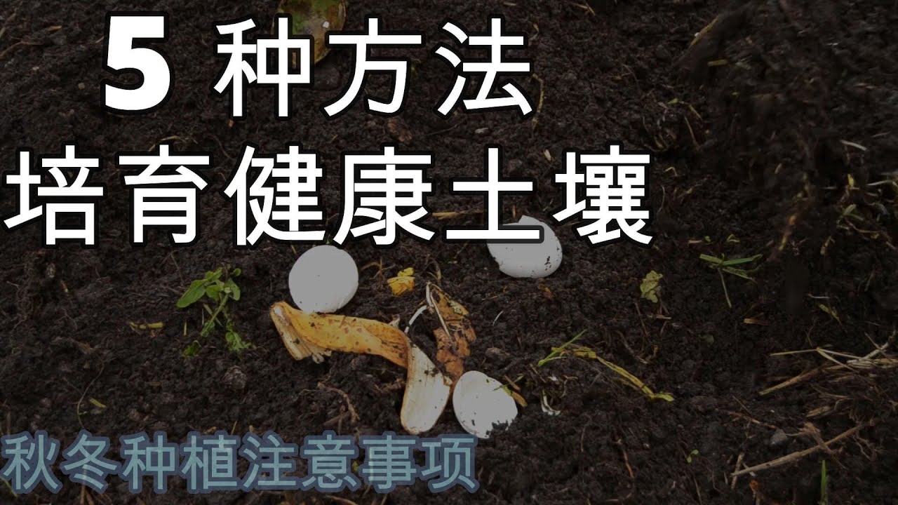如何有效改善土壤生态环境❓怎么预防病虫害发生❓土壤养分流失怎么办❓不想每年买土搬土⁉️5种方法分享给你🥰不花钱也可以养好地