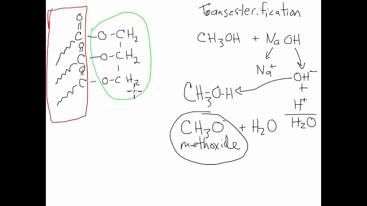 Transesterification