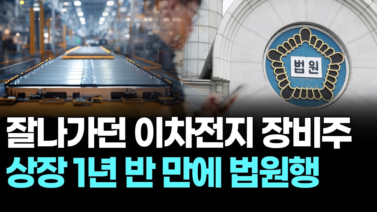 잘나가던 이차전지 장비주 상장 1년 반 만에 법원행
