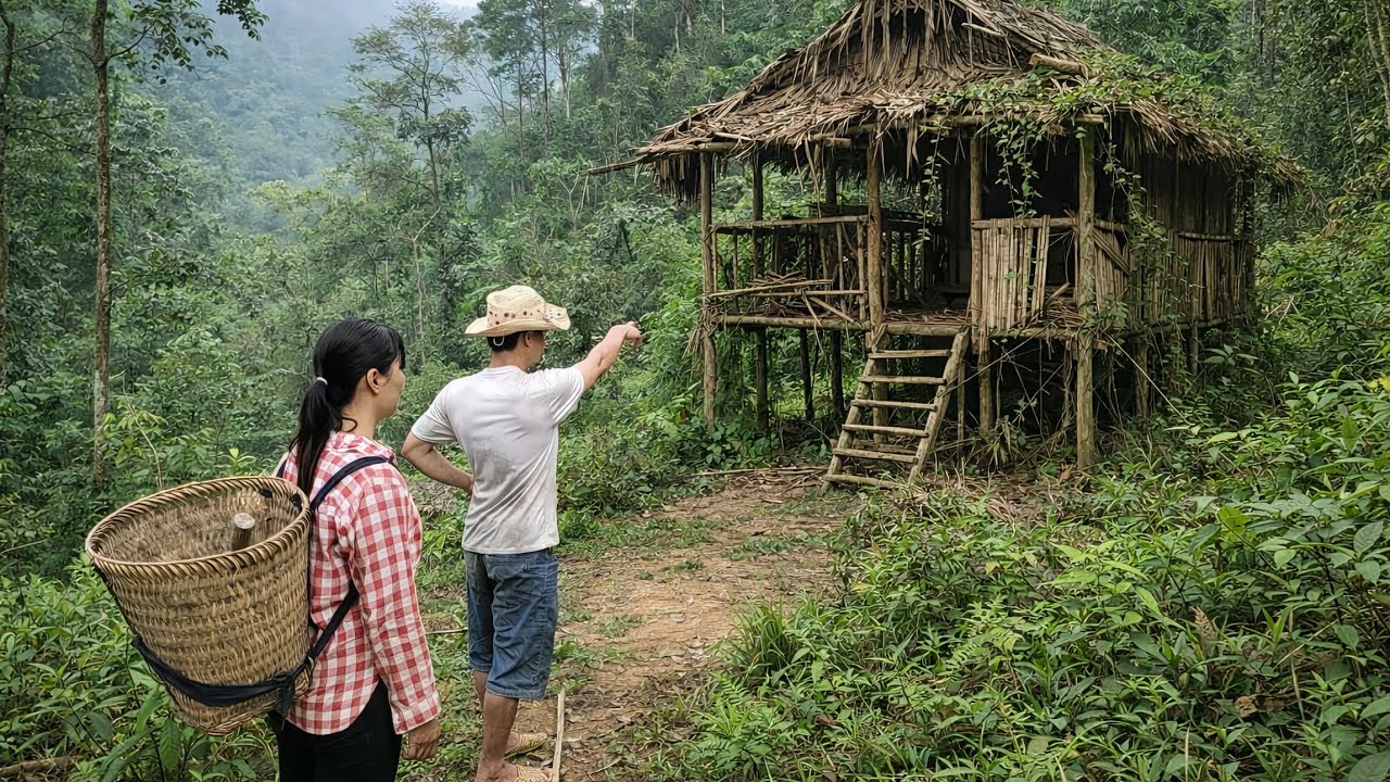 Full Video: Restoring abandoned houses as shelters and building new homes in the forest.