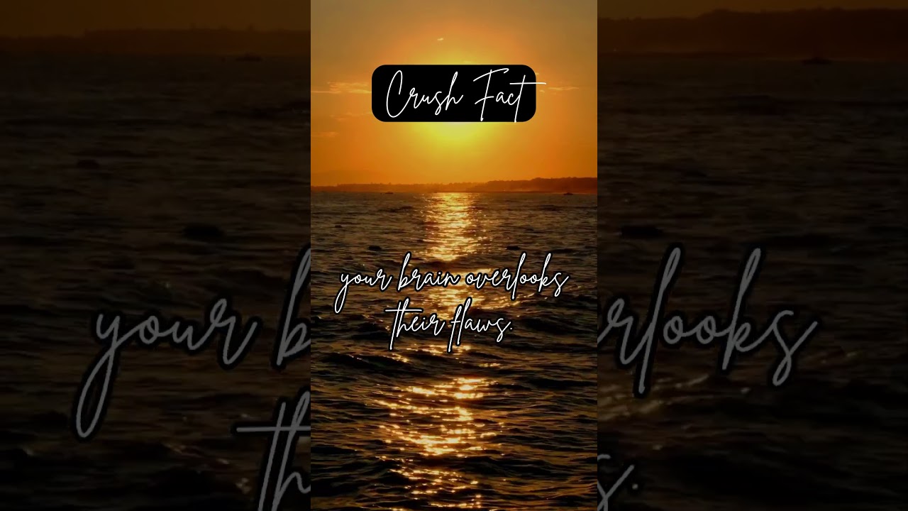 The Crush Effect #feelingsexplained #humanbehavior #romanticfeelings #infatuationexplained @JaT-H