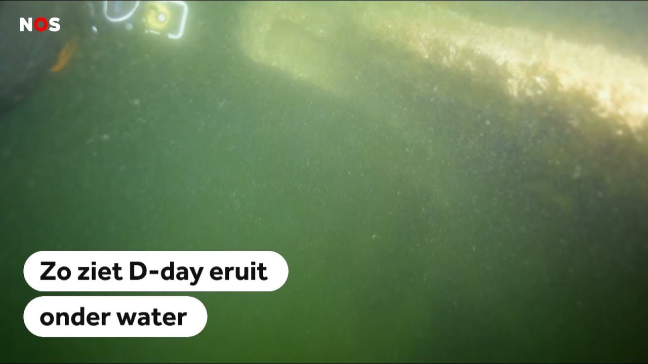 D-DAY: Duiken tussen de tanks en wrakken, 'zó indrukwekkend'