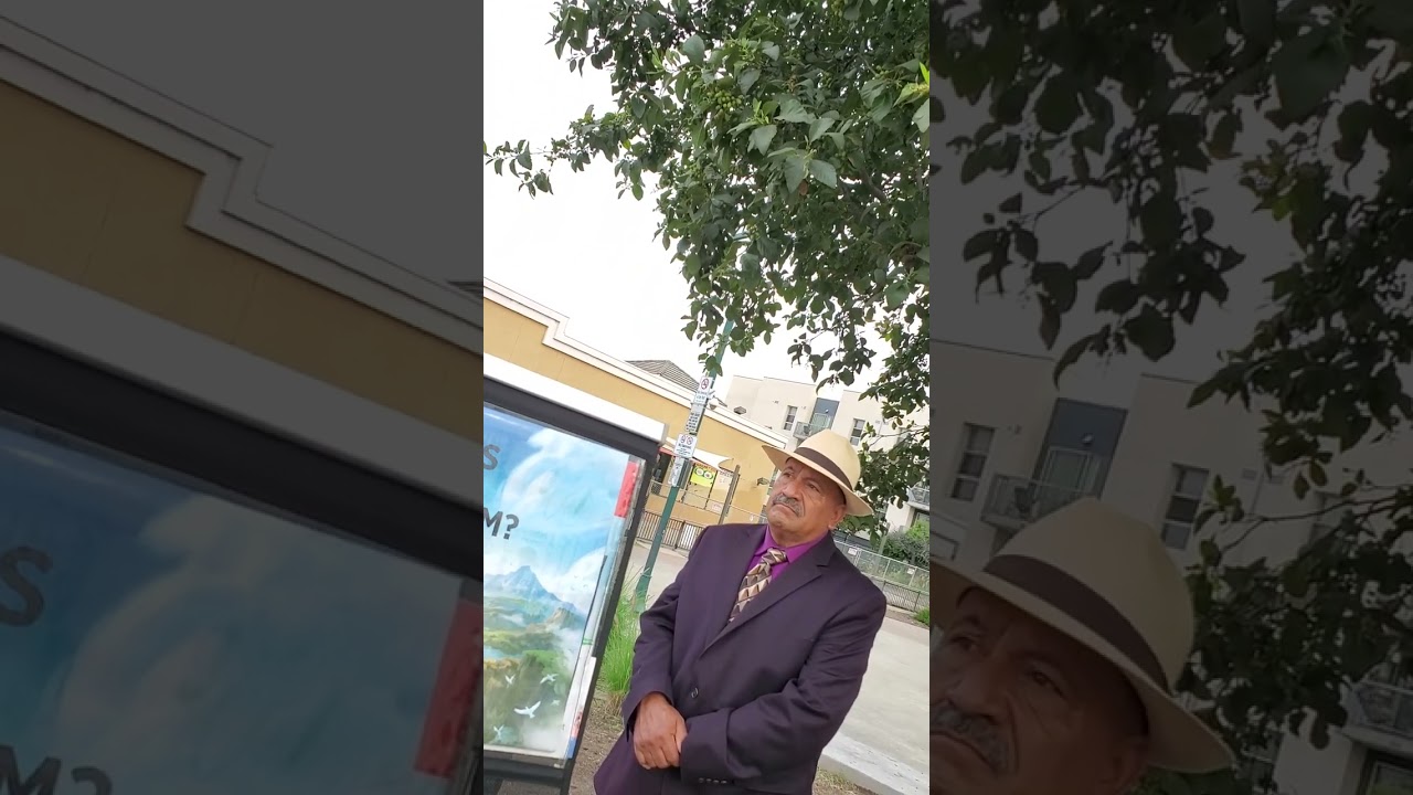 testigos y su biblia al descubierto