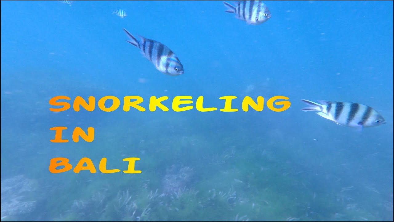 Snorkeling in Bali
