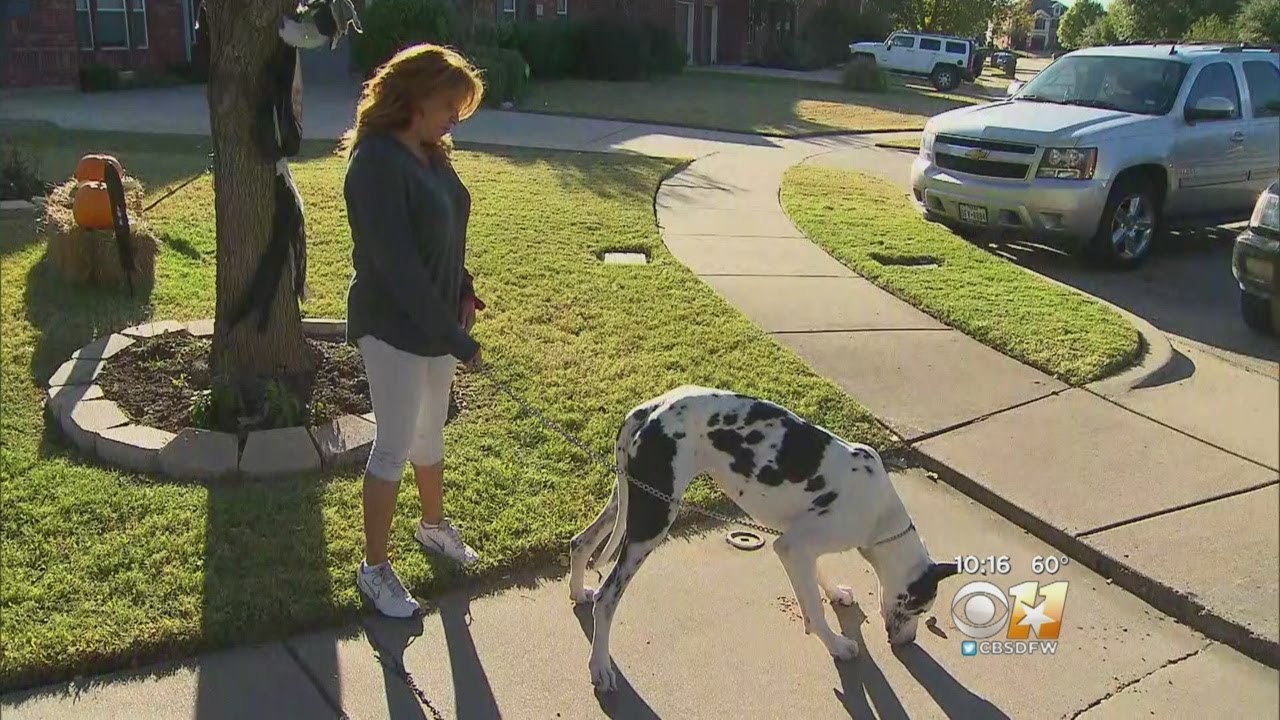 Off-Duty Mansfield Officer Shoots And Kills Dog In Front Of Owners