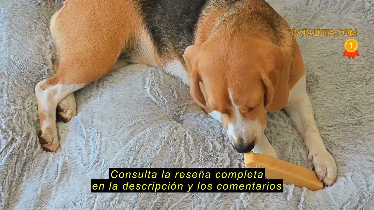 Reseña del Nobleza Cama Perro Grande, Cama Perro Lavable, Suave y Esponjoso, Antideslizante, Gris Os