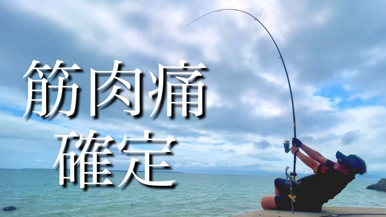 今年初のビッグファイト！…衝撃の結末？！