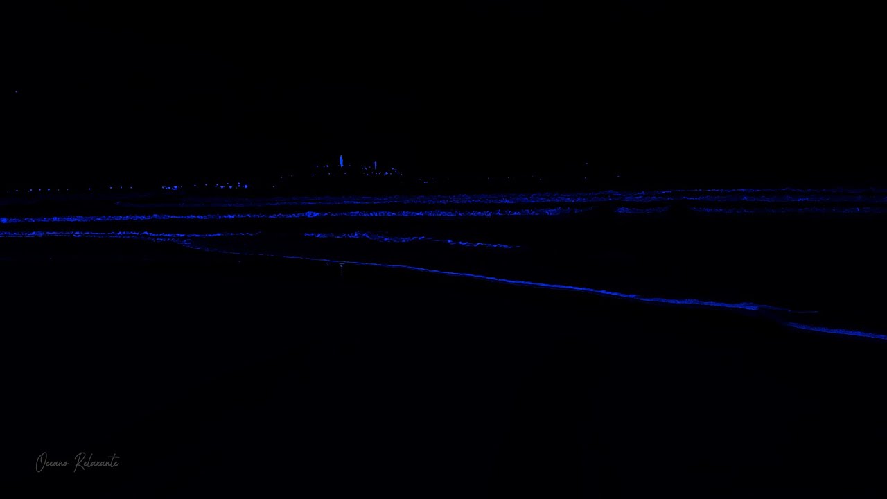 Ocean Sounds to Soothe Your Mind and Empty Your Thoughts with Relaxing Ocean Waves at Night