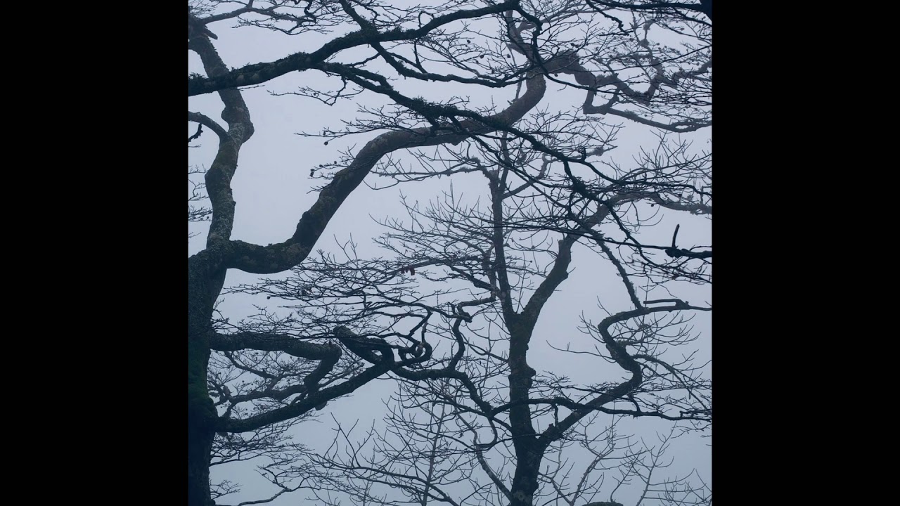 [FREE] Izaya Tiji + Wifi + Interlude Type Beat - “Forgive Me”