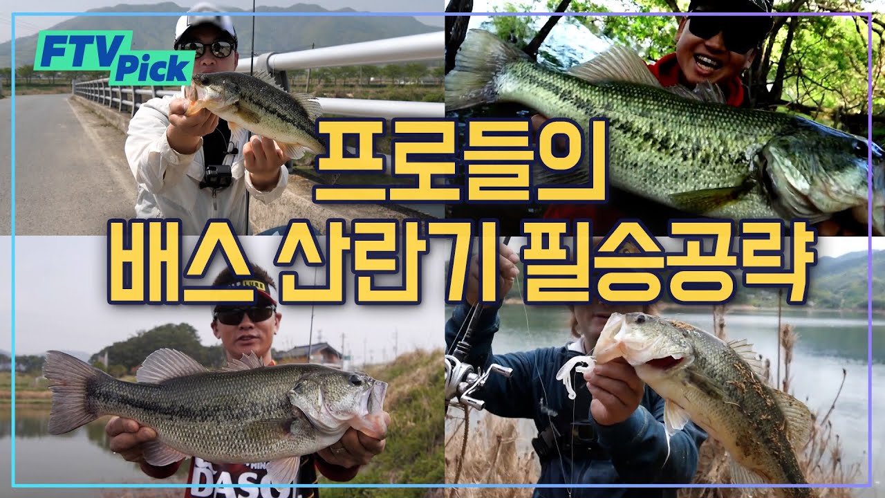 배스낚시 프로가 알려주는 봄 배스 산란기 공략법! 지금이 피크다! [FTVpick]