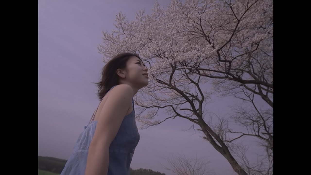 bird - 桜 (Official Music Video)