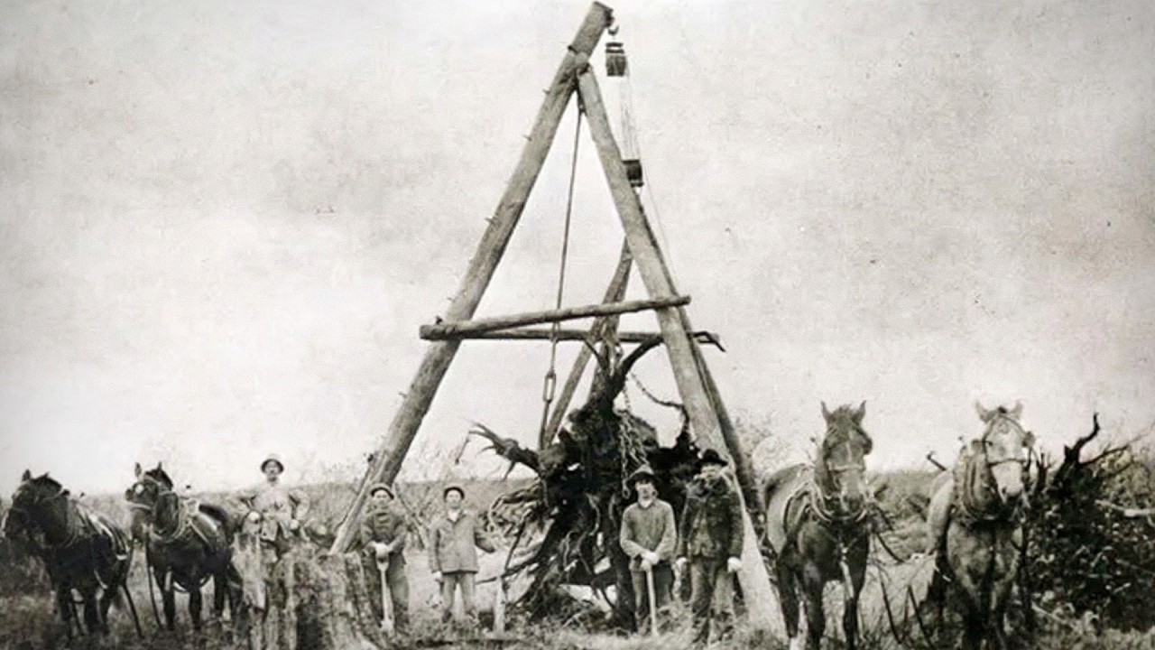 The Forgotten Machine That Tore Out 1,000 Stumps a Day and Wiped Out America's Forests - INDUSTRIAL