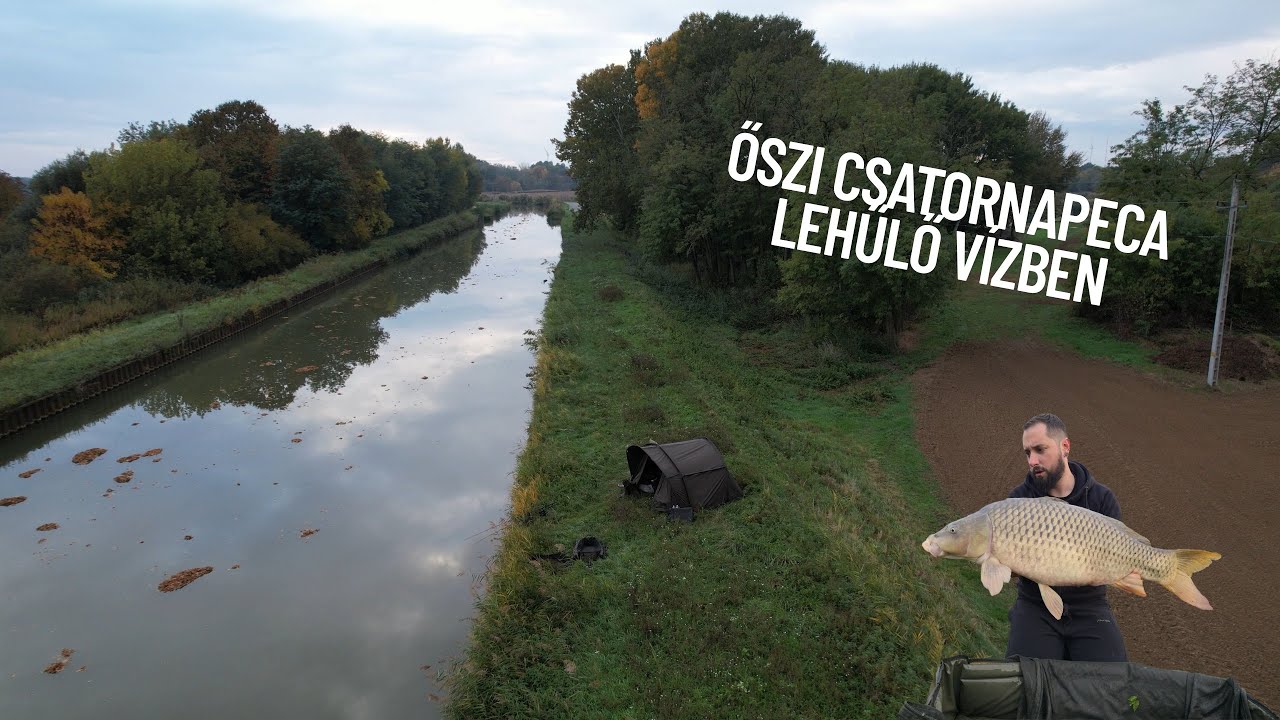 Őszi csatornapeca egy szőrös segítővel - Adja még a lehűlő víz?