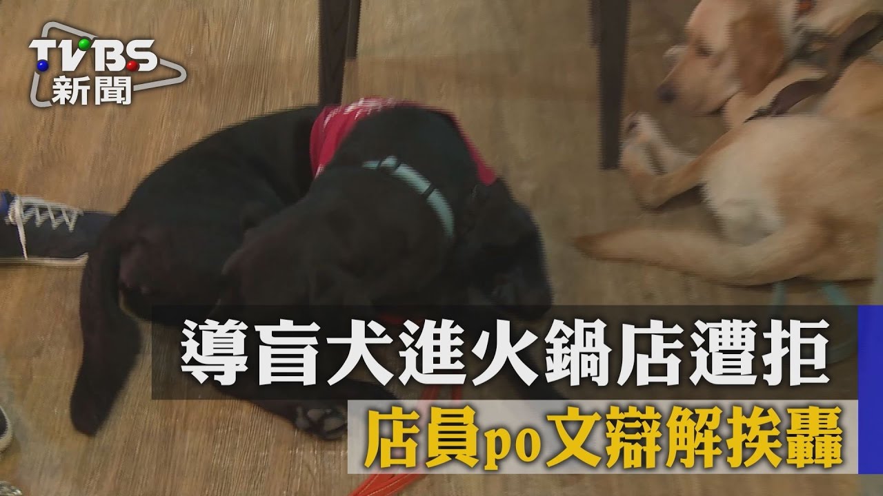 【TVBS】導盲犬進火鍋店遭拒　店員po文辯解挨轟