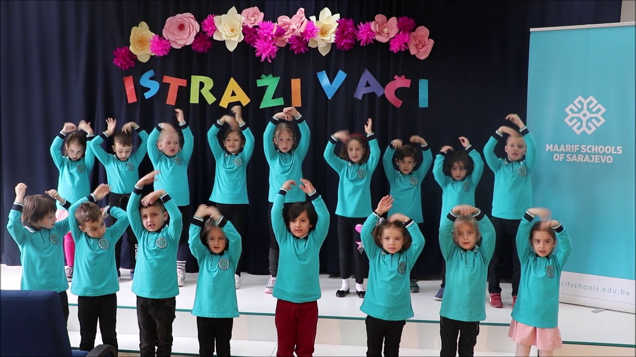 Pjevam mami pjevam domovini, istraživači