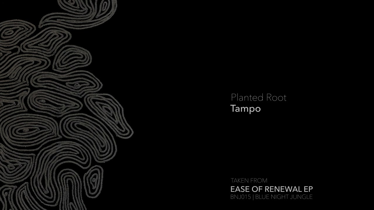 IP PREMIERE | Tampo - Planted Root [Blue Night Jungle]