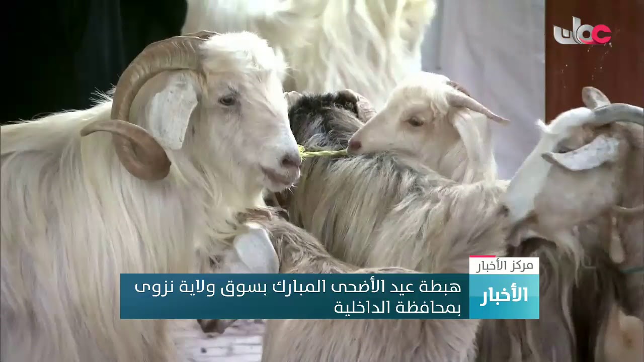 هبطة عيد الأضحى المبارك بسوق ولاية نزوى بمحافظة الداخلية