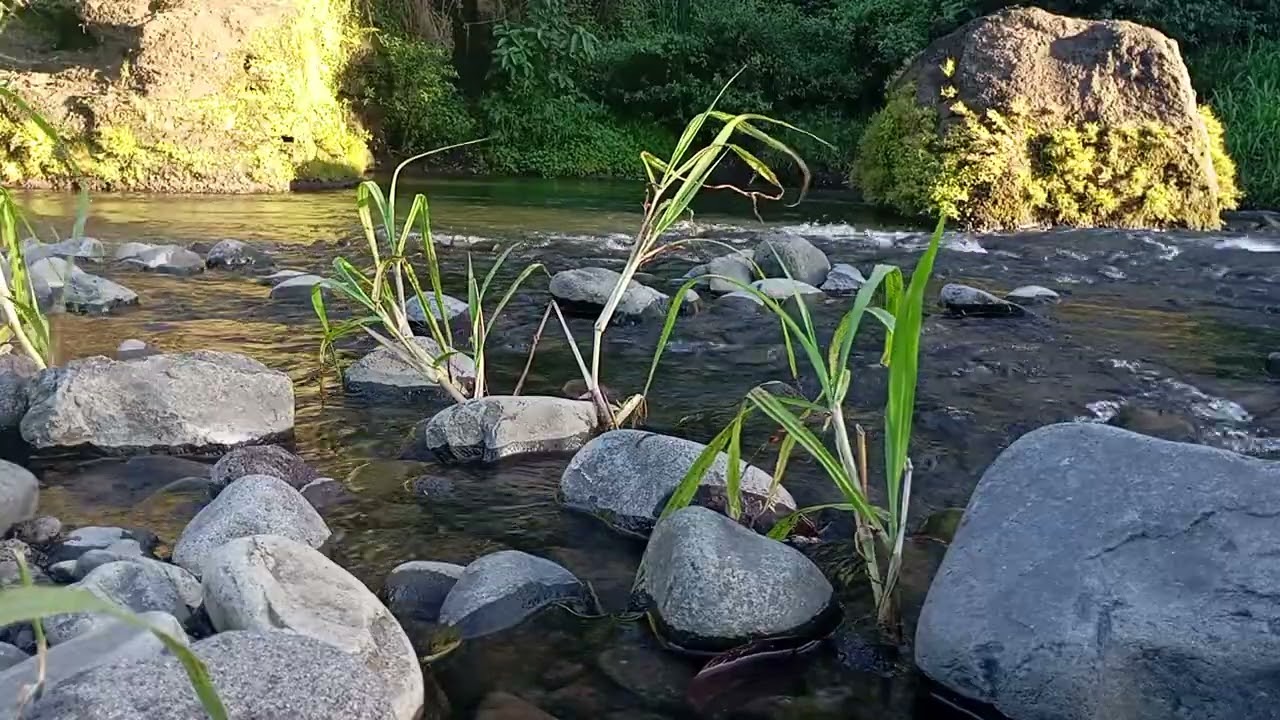 Silent Night Stream – Pure Serenity Soundscape