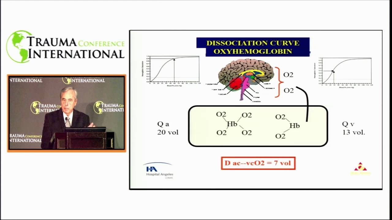 Post-Resuscitation Injury: A Brain Point of View /c