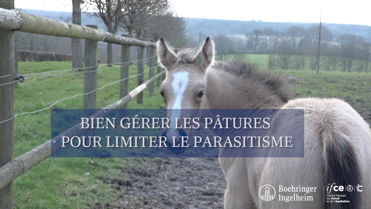 Minute Santé Boehringer - Gestion des pâtures