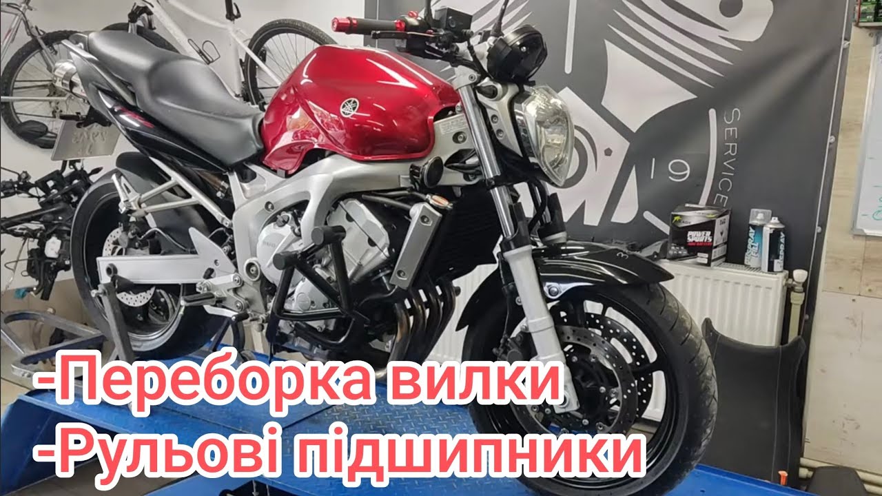 Yamaha Fazer FZ6N / Переборка вилки / Заміна рульових підшипників