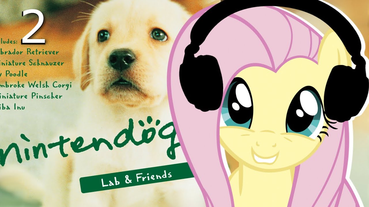 Fluttershy plays Nintendogs 🍉 | Time for Training! | Part 2