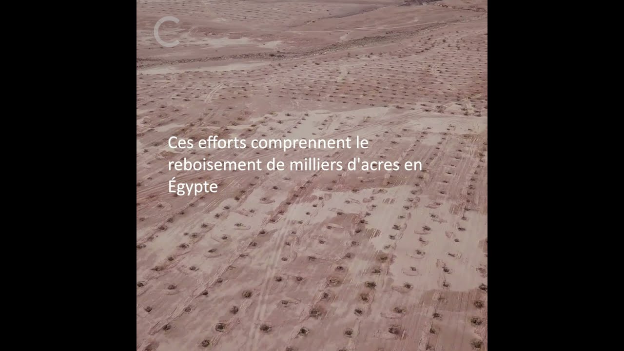 La Régénération des terres dans la région MENA
