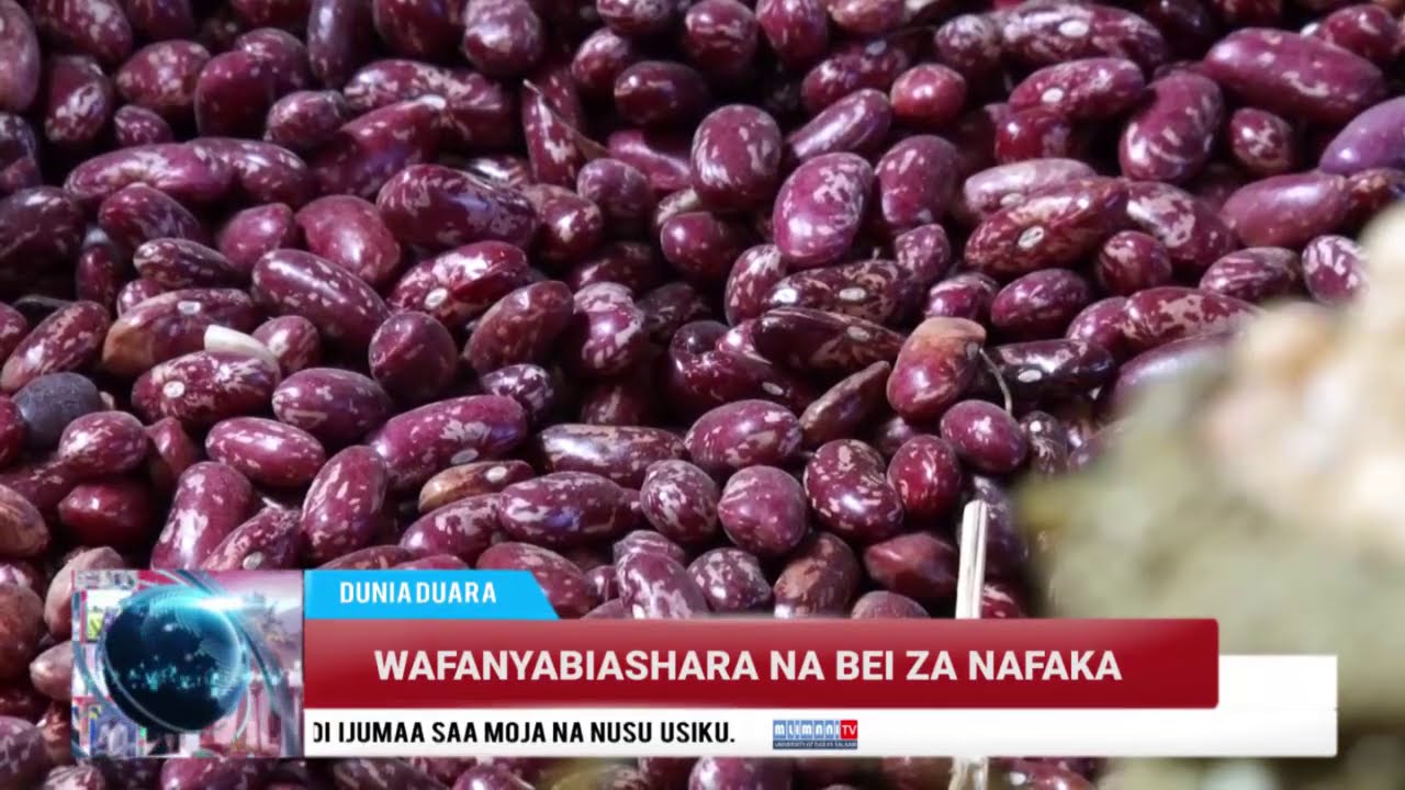 JE, WAFAHAMU BEI ZA NAFAKA SOKONI? MWILI HUJENGWA KWA CHAKULA BORA NA IMARA
