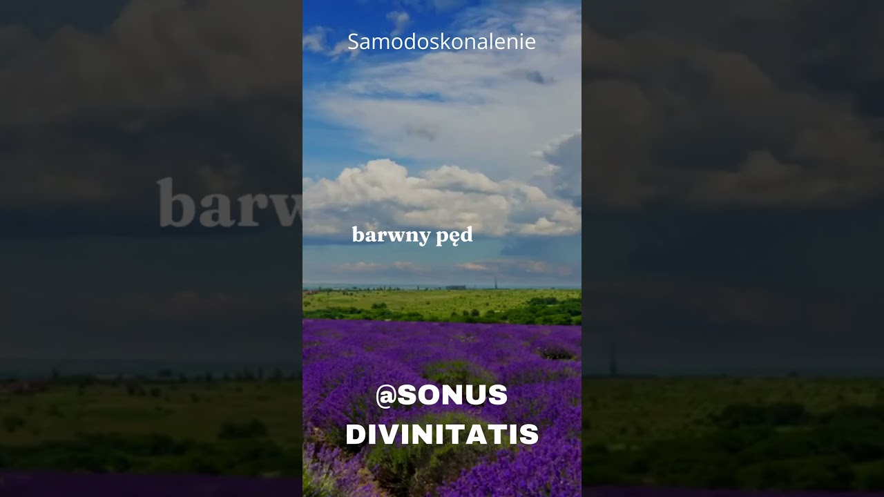 #shorts Nuta Siły. Motywacja autor&oacute;w i muzyk&oacute;w- Sonus Divinitatis nr.46