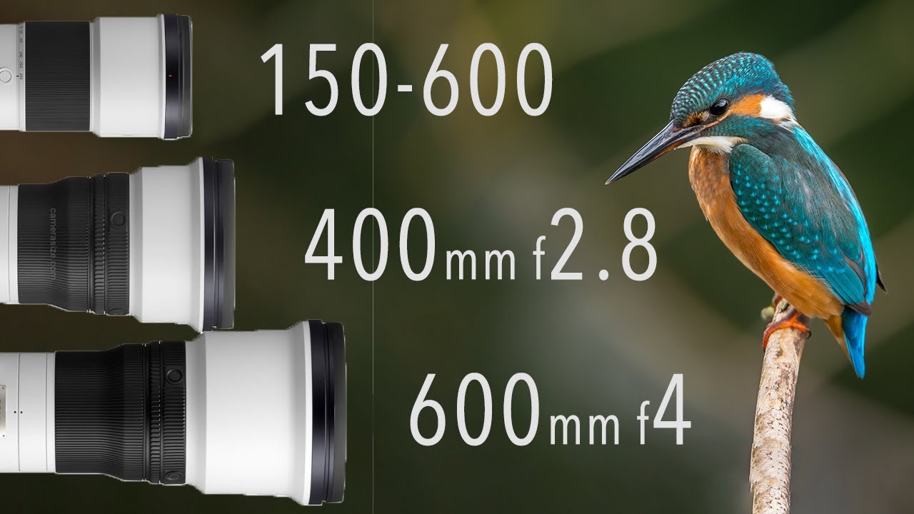 Comparatif 400mm F2.8 & 600mm F4 vs 150-600 / 200-600 - Objectifs PRO vs Grand Public