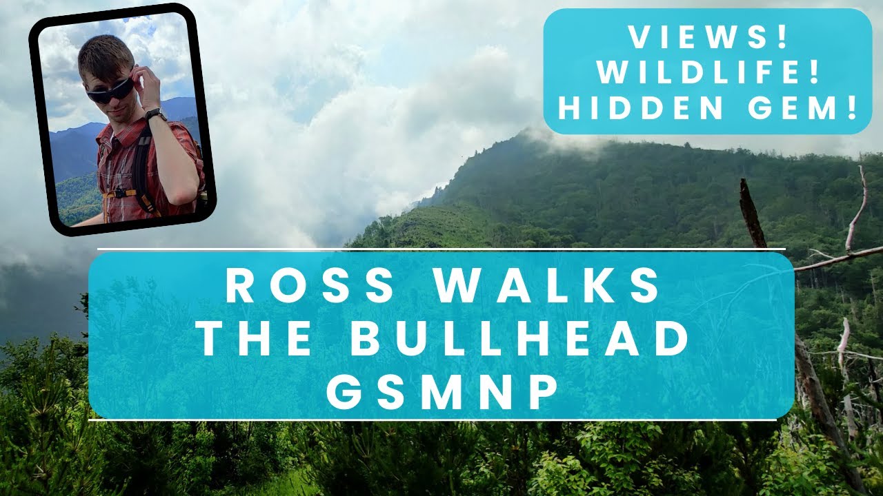 Ross Walks The Bullhead Trail - GSMNP
