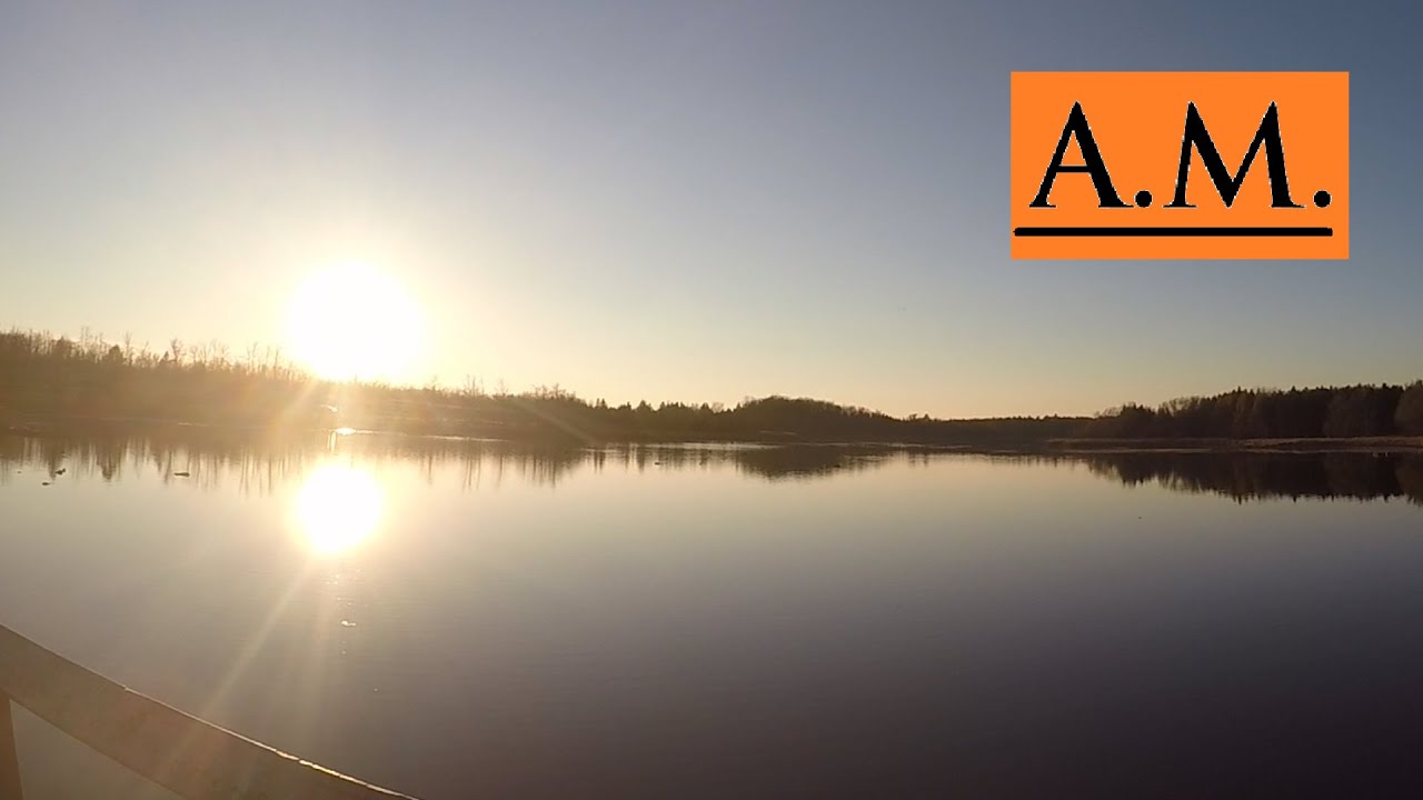 Valens Lake Conservation - Birds and Cayotes