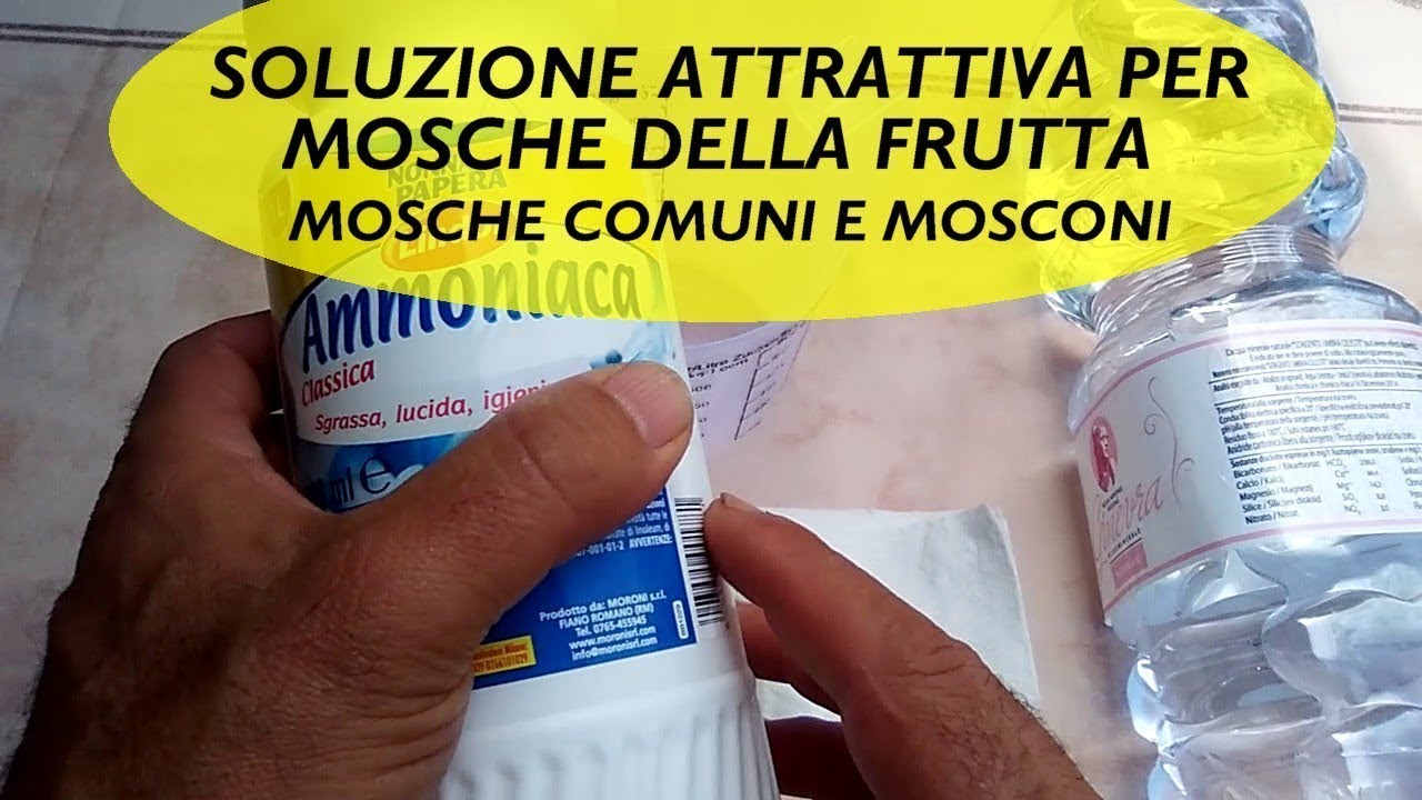 SOLUZIONE ATTRATTIVA PER MOSCHE DELLA FRUTTA E MOSCONI