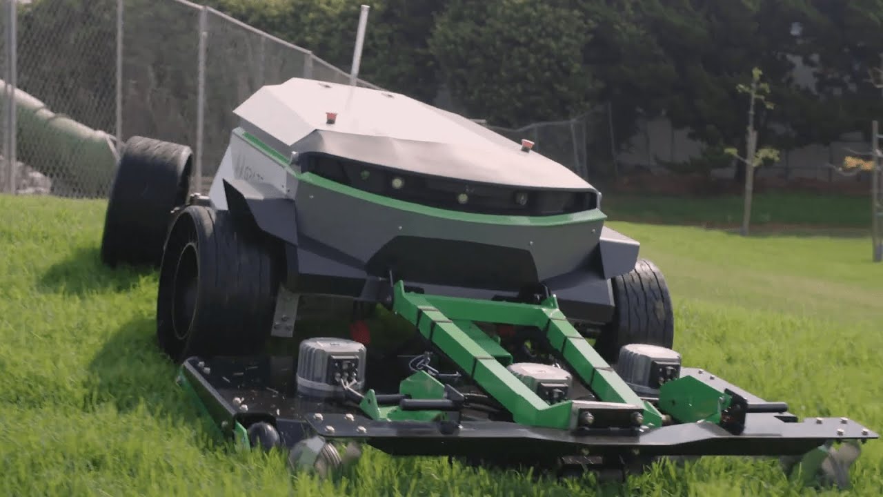 Robotizing the Service Industry