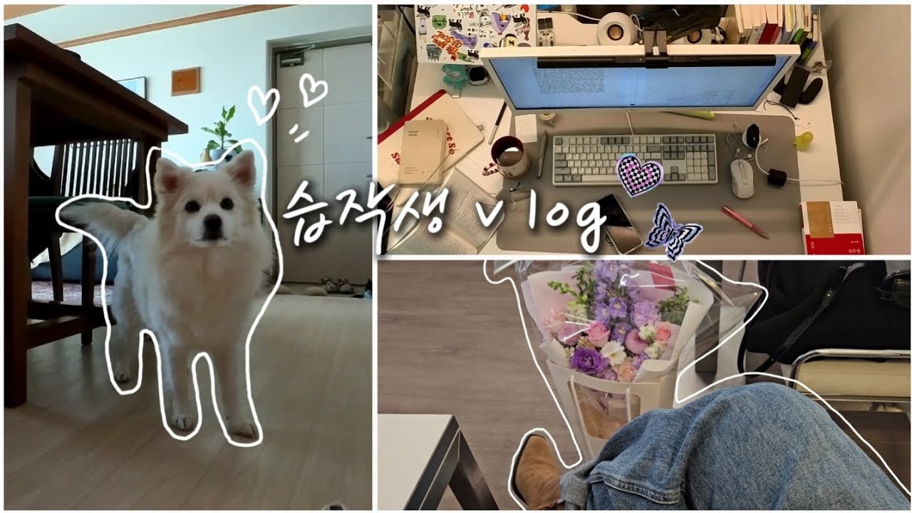 v log☕️ 방구석 단조로운 일상, 글쓰기, 습작생의 책 추천, 강아지랑 🐶
