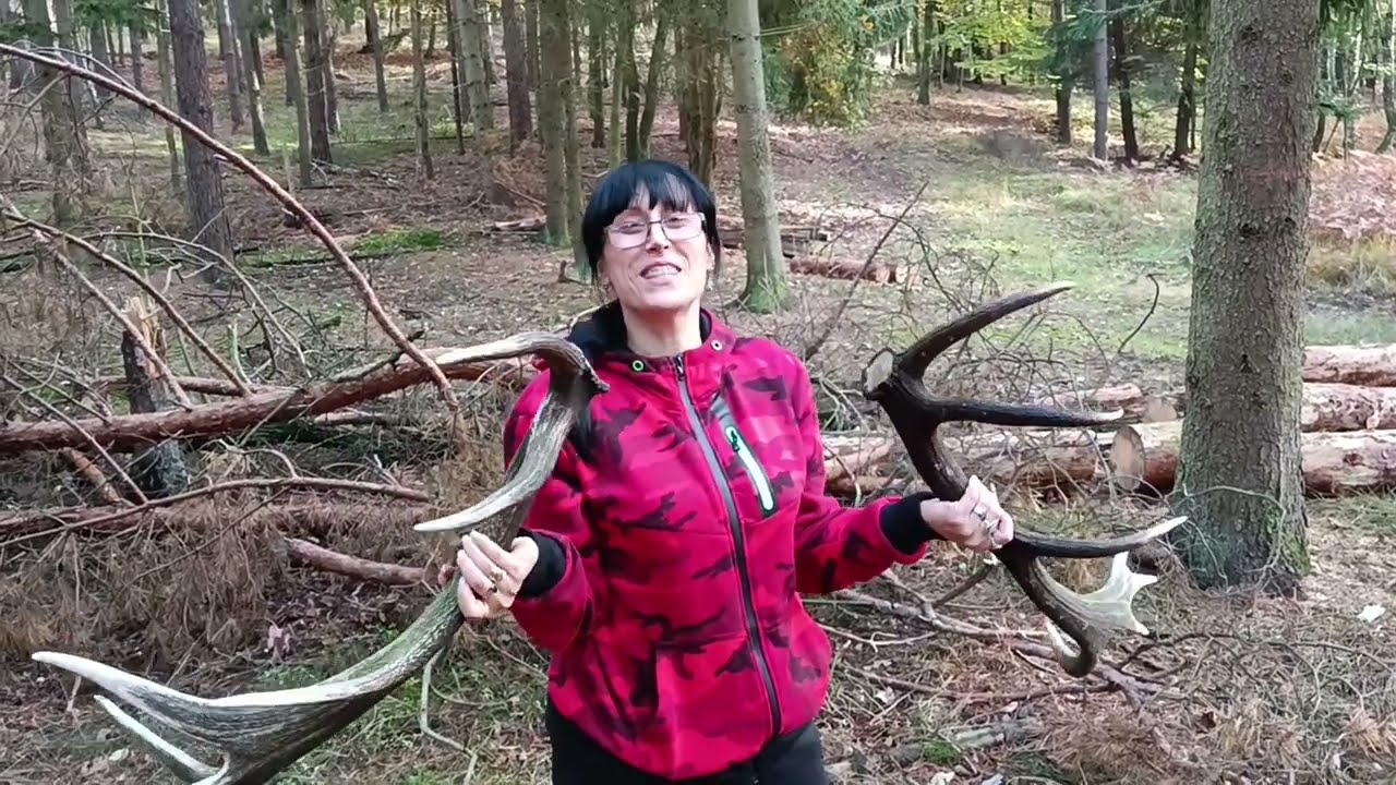 Szok!!!  Ania znalazła przepiękne poroże!!!