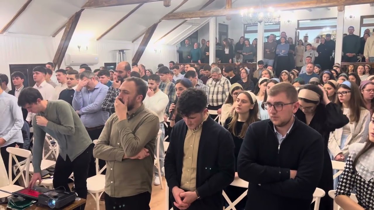 Au înflorit măslinii | Tabără Vama ~ Ianuarie 2025