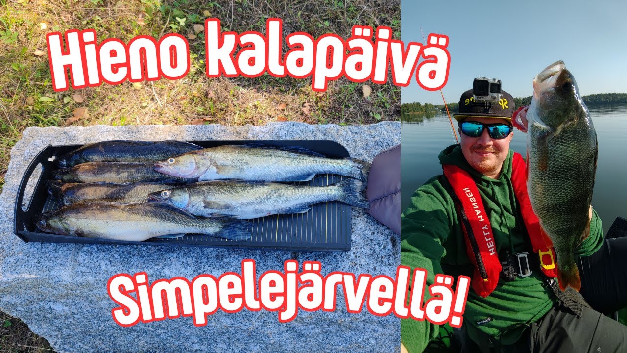 Kalastamassa Simpelejärvellä | Nyt osui päivä kohdalleen ja ruokakalat äkäisinä!