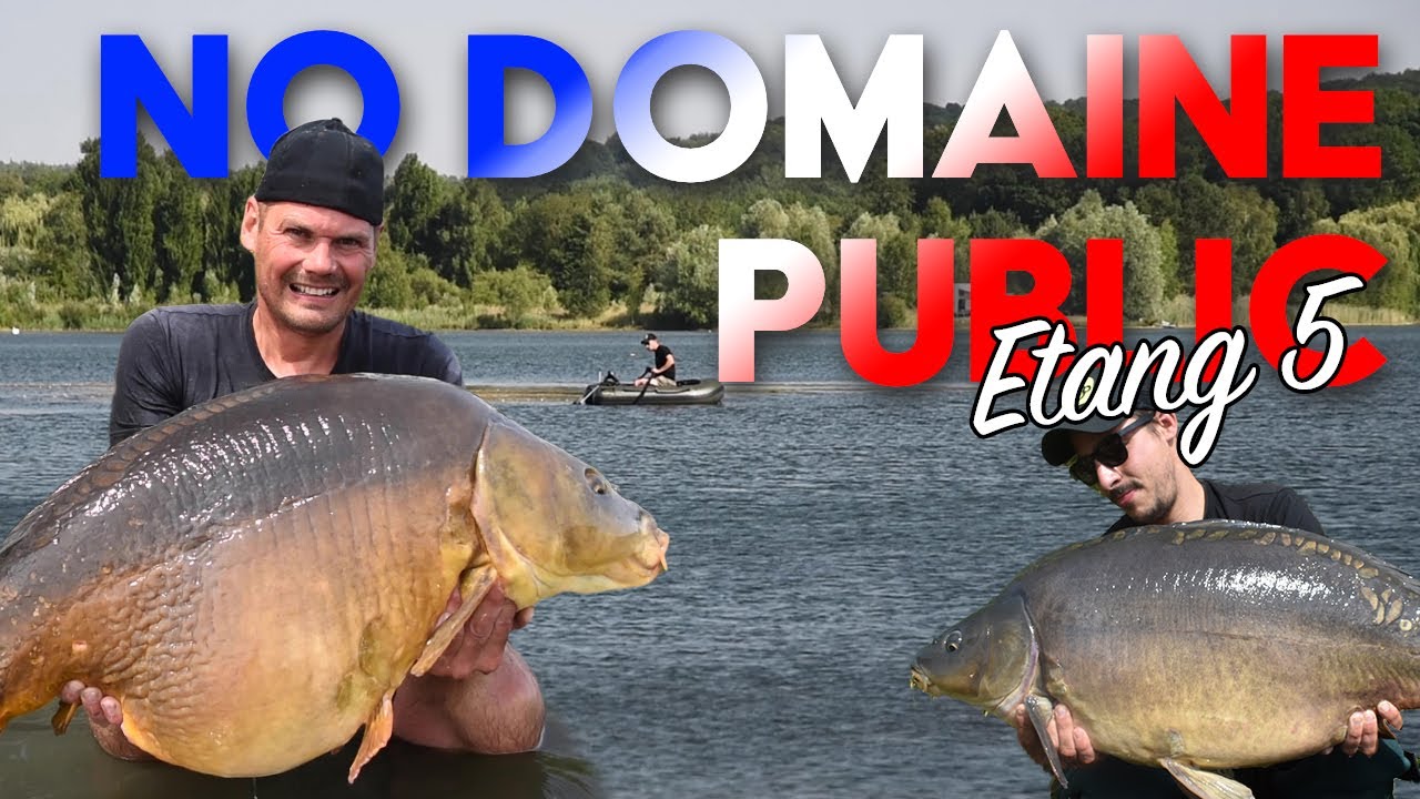 💰Karpfenangeln am Etang 5 | Big Fish | Naturebaits