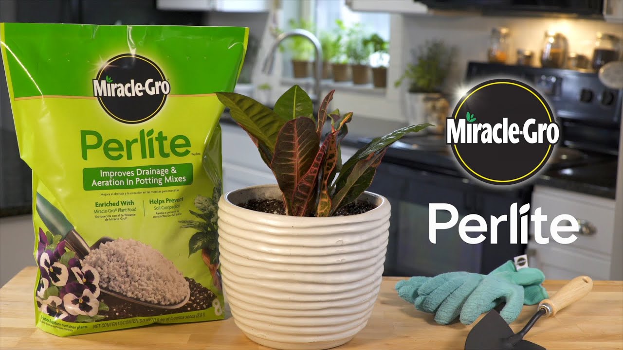 How to Promote Root Development in Cuttings Using Miracle-Gro&reg; Perlite