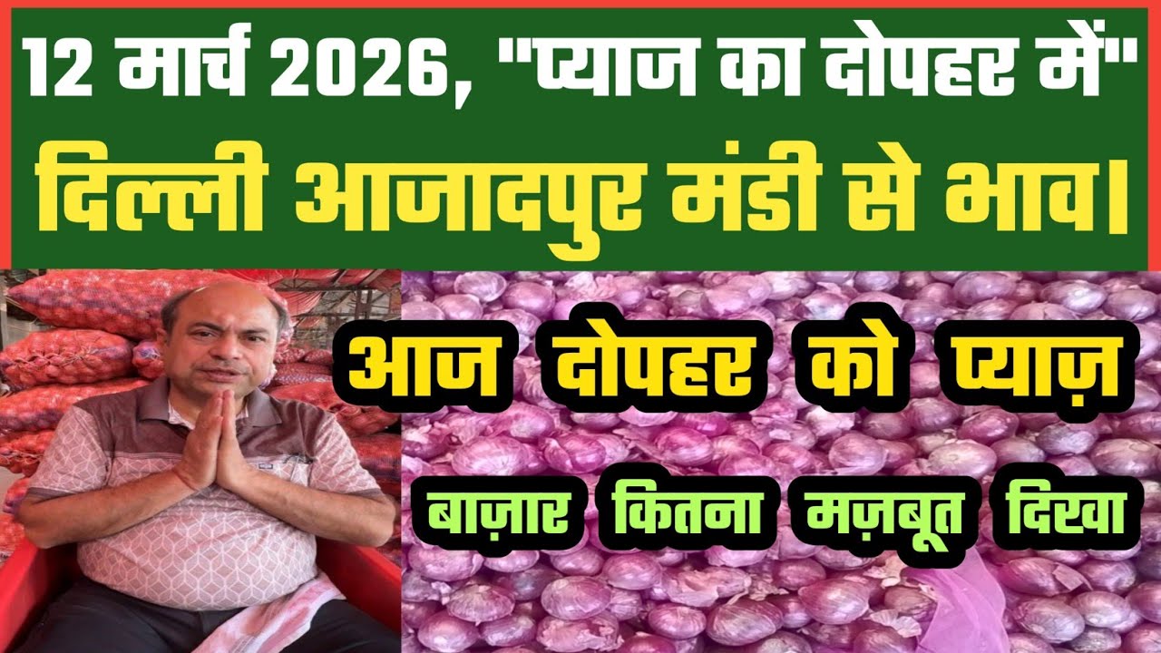 आज दोपहर में बढ़त कैसे Azadpur Delhi Mandi Today में 12-03-2026 के Onion Price DMT TV