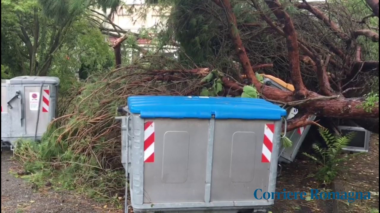 Centinaia di alberi abbattuti dal vento a Cervia, il video del disastro