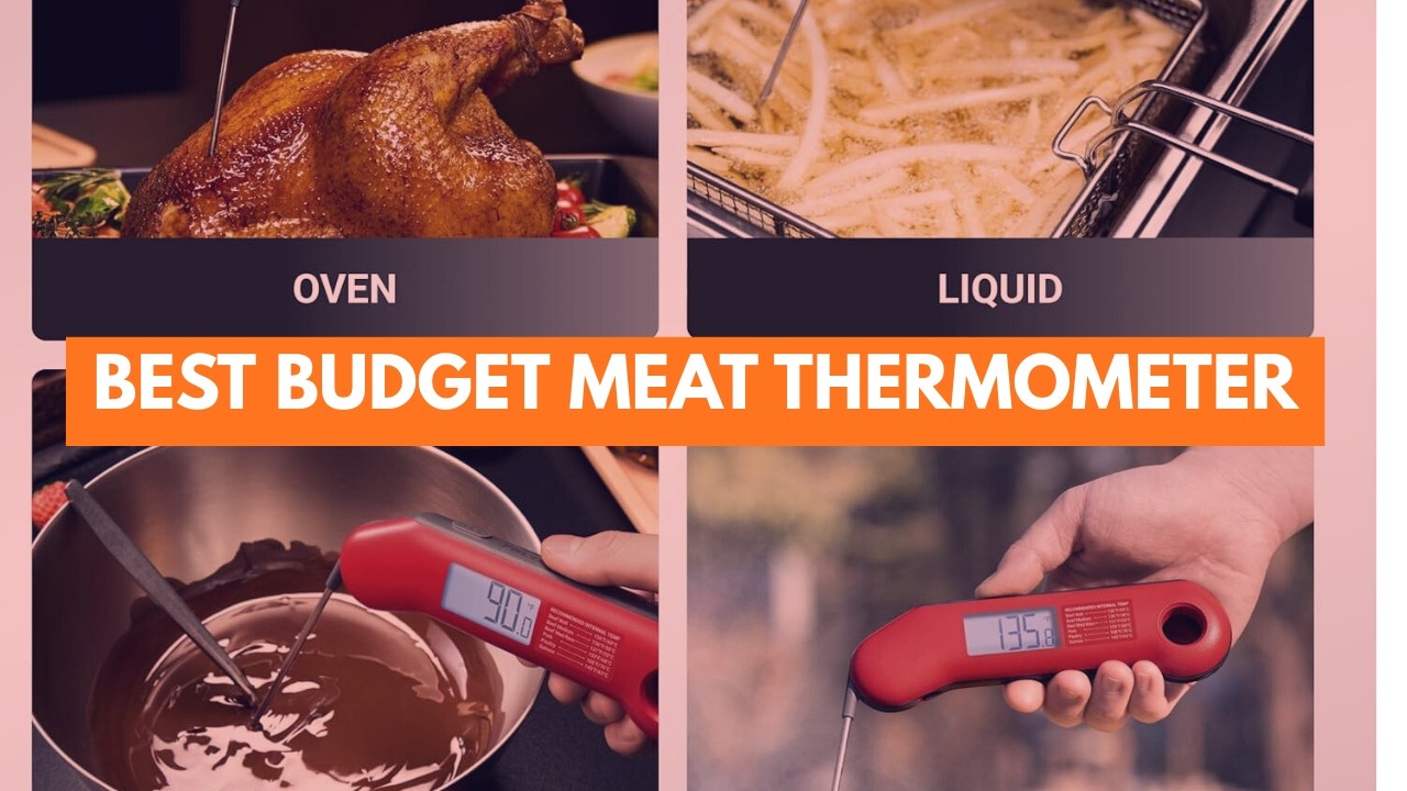 Best Budget Meat Thermometer 2026 | Cheap & Accurate Picks for BBQ