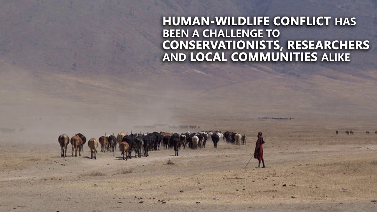 Innovations to mitigate Human Wildlife Conflict