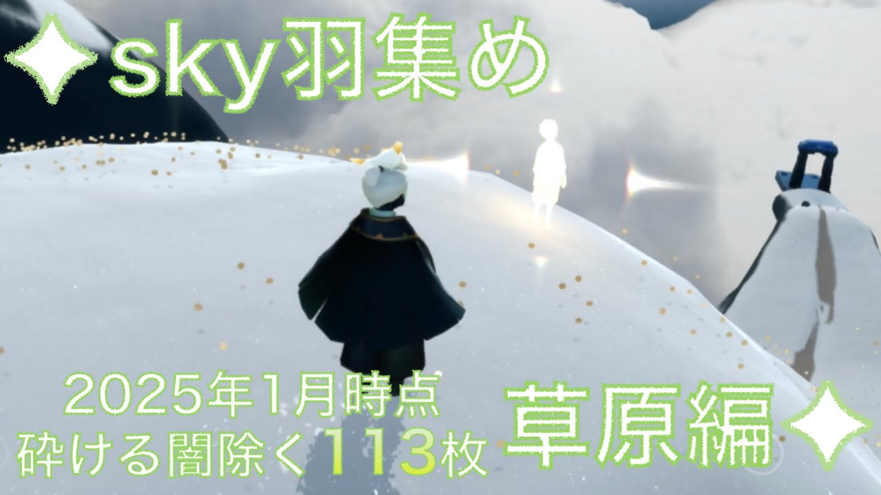 【2025年1月最新版】113枚光の子・羽集めの旅/草原編/初心者向け解説あり/【sky 星を紡ぐ子どもたち】
