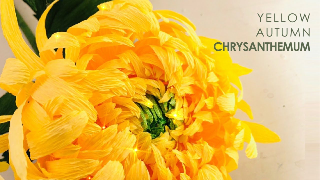 Paper Flower💐  yellow autumn chrysanthemum🌻 Let's make a beautiful autumn flower chrysanthemum!❤️