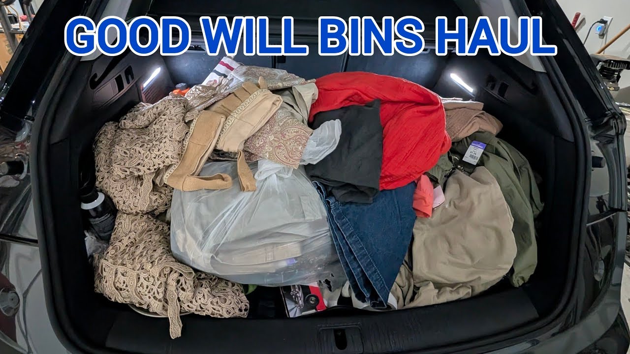Goodwill Bins Haul 