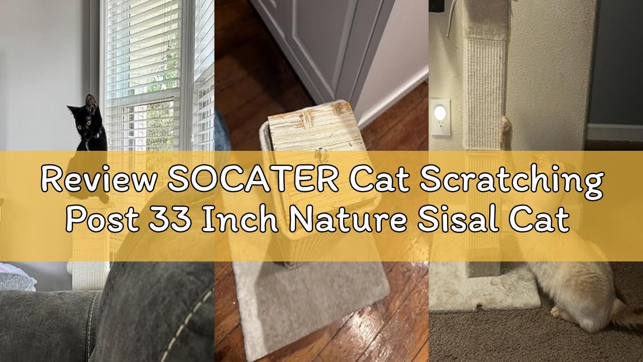 Review SOCATER Cat Scratching Post 33 Inch Nature Sisal Cat Scratch Post for Indoor Cats, Large Cat